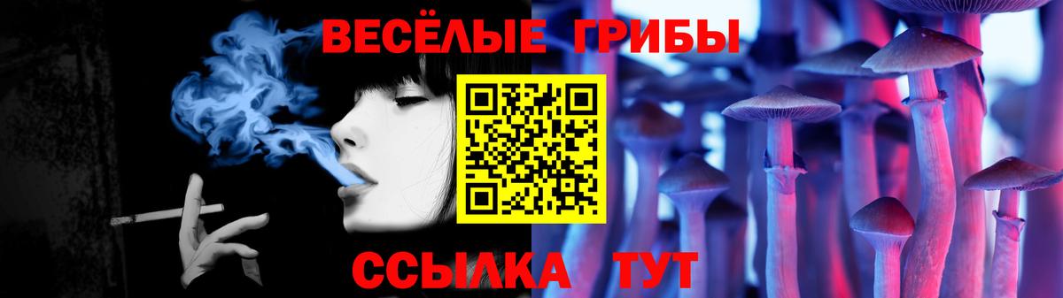 Псилоцибиновые грибы прущие грибы  Псилоцибиновые грибы прущие грибы  Губкинский  где купить   Вход с VPN 