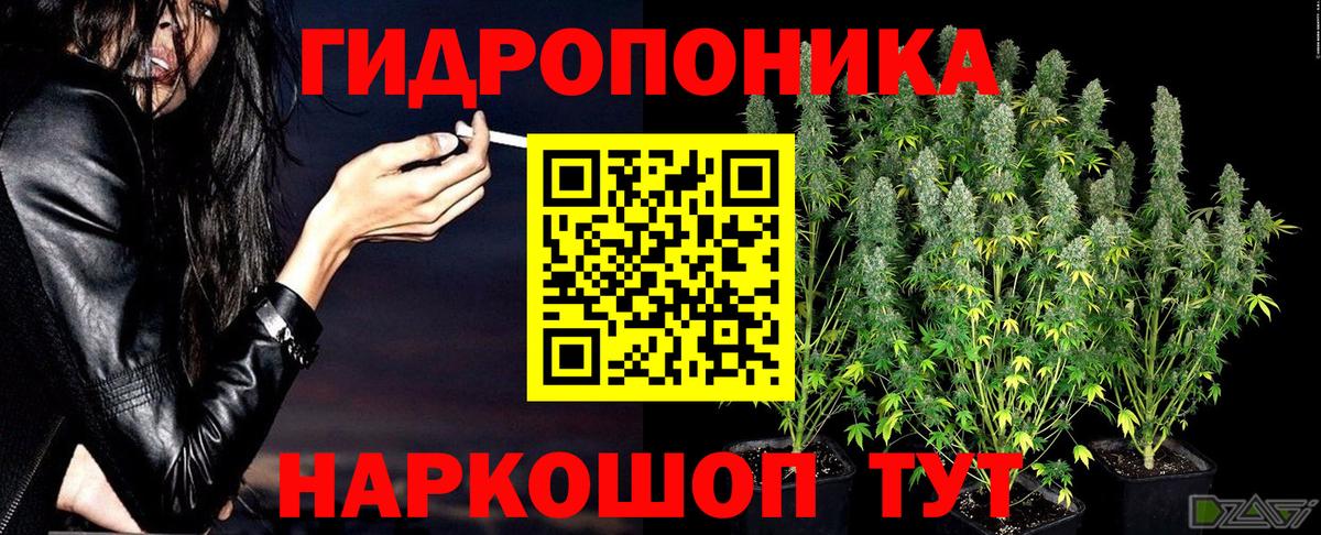 Конопля AK-47 Губкинский